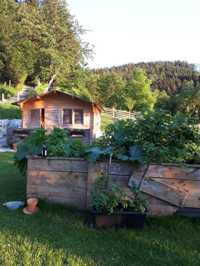 Landhaus Ziegelstadel Виндишгарстен Экстерьер фото
